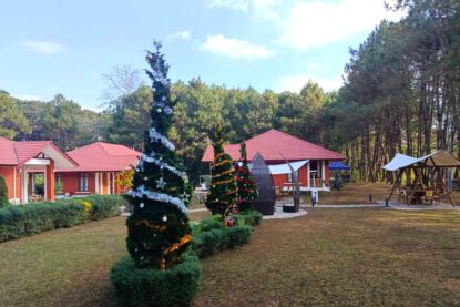 pine villa