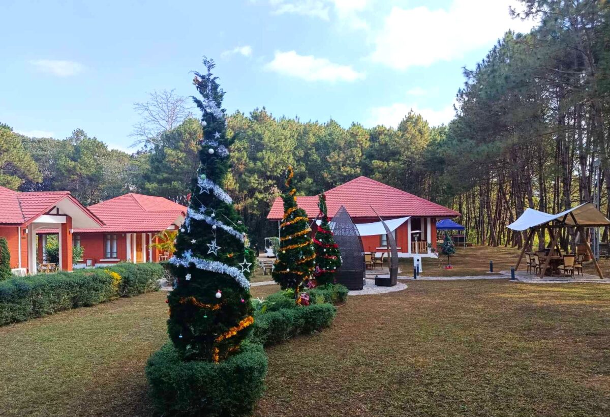 pine villa